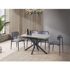 Resim Anka Sis Gri Polo Lak Panel Mutfak Masa Sandalye Takımı 80x120 Gri 