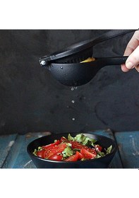 Resim Döküm Limon S ıkacağı 