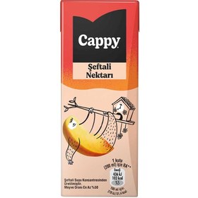 Resim Cappy Şeftali Meyve Nektarı 200 ml 