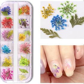 Resim Hangfox 12 Renkli Doğal Kurutulmuş Çiçekler, Manikür Dekorasyon Malzemesi, Tırnak Sanatı Aksesuarı Gh-g 