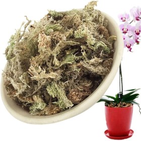 Resim OSKARYUM Orkide Toprağı, Canlı Yosun, Spagnum Yosun, Teraryum Yosunu 10 LT 