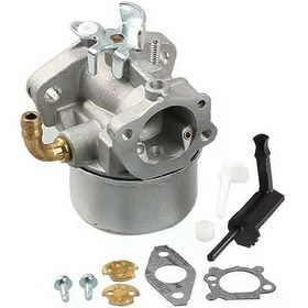 Resim All-carb Karbüratör Uyumlu Uyumlu Briggs & Stratton 798653 791077 790290 697354 698860 850 Serisi Motor Karbüratörü 