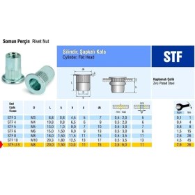 Resim Piton Perçin Silindir Şapkalı Flanş Kafa Çelik Somun Perçin M3 Metrik 3 - 500 Adet 