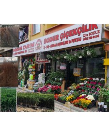 Resim Bodur Tarım Bulancak 16 Lt Akülü & Manuel ilaçlama Pompasının metal saplı Elçik Tetik 