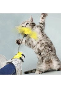 Resim Ayağa Takılan Kedi Oyun Oltası 