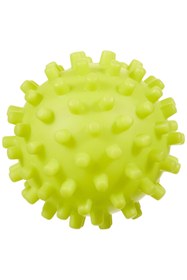 Resim Hype Store Köpek Vinyl Mayın Cm 