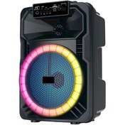 Resim Zore Gd-893 Mikrofonlu Rgb Tws 8 Inç Stereo Bass Kablosuz Karaoke Hoparlör 