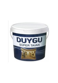 Resim Asrın Duygu Tavan Boyası 10 Kg. 