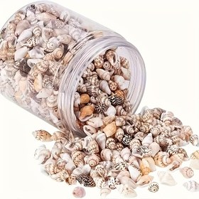 Resim 900 Adet Doğal Deniz Kabukları/Salyangoz Boncuklar DIY Takı Yapımı ve Ev Dekorasyonu için - Balık Tankı Dolgu Malzemesi Reçine El Sanatları, Çeşitli Renkler Düzensiz Şekiller Kalsiyum Karbonat Materyali Yaratıcı Projeler İçin Mükemmel 