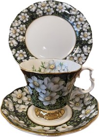 Resim İngiliz Royal Albert koleksiyonluk provencial flowers serisi mountain avens çiçekleri süslü trio çay fincanı 
