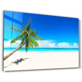 Resim Cennet Sakinliği: Eğik Palmiye | Cam Duvar Tablosu - XL (110x70 cm) 