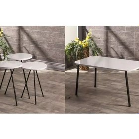 Resim Uslucan Alışveriş Zigon Sehpa Ve Orta Sehpa Set Kr Metal Beyaz Çok Renkli 