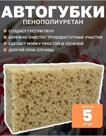 Resim Cistodel Büyük Ve Büyük Gözenekli Araba Yıkama Süngeri 244209574 