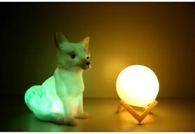 Resim Işık kasabası(78) Kar tilkisi ve 3D LED küre gece lambası Rcb 
