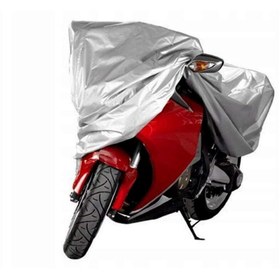 Resim otoTR Regal Raptor DD 250E 