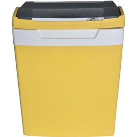 Resim Icepeak Sf30 Buzluk 30 Litre-Sarı 
