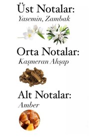 Resim The Sillage SK023-Alien Krem Parfüm-Çiçeksi/Odunsu 