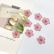 Resim 5 adet Pembe Kiraz Çiçeği Buzdolabı Manyetiği - Ofis Beyaz Tahta, Depolama Dolabı, Bulaşık Makinesi, Mutfak ve Ev Dekorasyonu için Sevimli Dekoratif Plastik Yuvarlak Manyetikler, Anneler Günü için İdeal Hediye, Beyaz Tahta Manyetiği | Kiraz Çiçeği Tasarımı | Plastik Manyetikler, Manyetik Dekor 