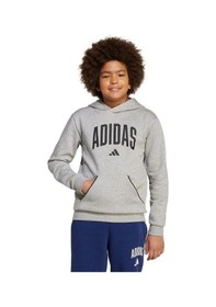 Resim Adidas Çocuk Gri Sweatshirt J Clgt Oh Fl Hd Jv7336 Gri 