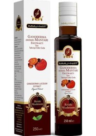 Resim İmmunat Reishi Ekstraktı 250 Ml 