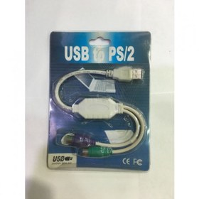 Resim Usb To 2 Ps2 Entegreli Birleştirici 