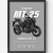 Resim YAMAHA MT-25 