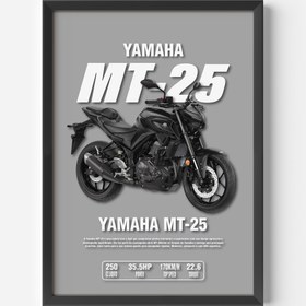 Resim YAMAHA MT-25 
