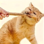 Resim 3'lü/5'li Çiğneme Çubukları - Çizgili Tasarımlı Dayanıklı Ahşap Isırmalar, İç/Dış Mekan Oyunları İçin Mükemmel, Orta Boy Köpekler İçin İdeal, İç/Dış Mekan Oyunları İçin İdeal, Bataryasız, İnteraktif Oyuncak, Köpek Yavrusu İçin Çiğneme Dayanıklı Oyuncak, Köpek Yavruları İçin Çiğneme Dayanıklı Oyuncak 