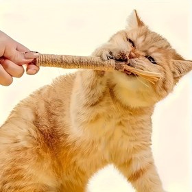 Resim 3'lü/5'li Çiğneme Çubukları - Çizgili Tasarımlı Dayanıklı Ahşap Isırmalar, İç/Dış Mekan Oyunları İçin Mükemmel, Orta Boy Köpekler İçin İdeal, İç/Dış Mekan Oyunları İçin İdeal, Bataryasız, İnteraktif Oyuncak, Köpek Yavrusu İçin Çiğneme Dayanıklı Oyuncak, Köpek Yavruları İçin Çiğneme Dayanıklı Oyuncak 