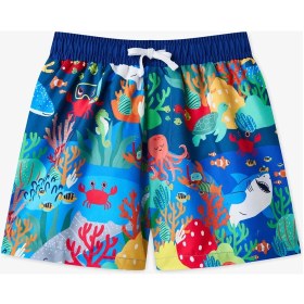 Resim Penti Renkli Erkek Çocuk Colorful Marine Şort Mayo 