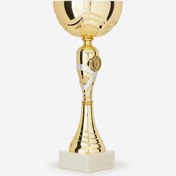 Resim Altın Kupa - 29 cm - C519 