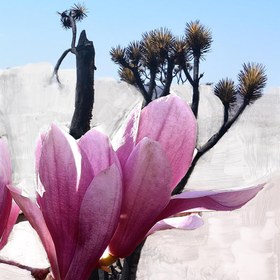 Resim Mojave Ghost 30ML El Kremi 