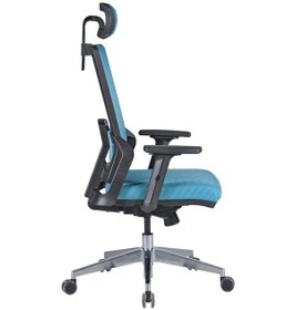 Resim Uzayofismobilyaları Uzay Ofis Riva Müdür Koltuğu - Mavi 