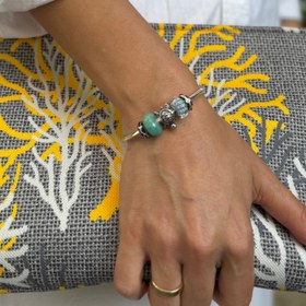 Resim Afrika Kaplumbağası 