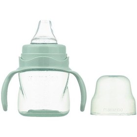 Resim Mamajoo Kulplu Akıtmaz Eğitici Bardak Powder Green 160 ML & Anti-Kolik Yeşil 