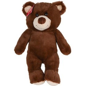 Resim 1063k Salaş Ayı Peluş 40 Cm -selay Oyuncak Çok Renkli 