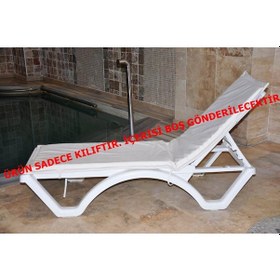 Resim Armutland Şezlong Minder Kılıfı 