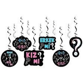 Resim Cinsiyet Partisi Sarkıt Süs 