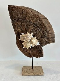 Resim Sooboho&Soomood (25) Ahşap Driftwood El İşi Dekor Biblo 