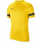 Resim Nike M Nk Df ACD21 Top Ss CW6101-719 Erkek T-Shirt 