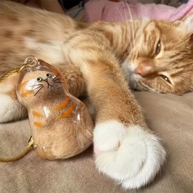 Resim Şeffaf Kedi Saç Anı Kaplı - Sevimli Kedi Şekilli Evcil Hayvan Tüyü Saklama Kutusu, Duygusal Hediye İçin DIY Kolye Mühürü, Kedi Severler ve Evcil Hayvanlar İçin Kalp Hediyesi, Sıcak Tasarım, Hava Geçirmez Kapak, Duygusal Alıcılar, Basit Sergileme, Şeffaf Malzeme, Duygusal Alıcı 