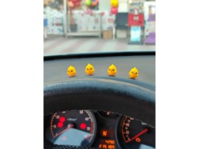 Resim minikbahçem Otomobil Aksesuarı Dikiz Aynası Aksesuarı Dikiz Aynası Süsü Civci 