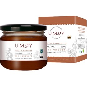 Resim UMAY Organik Mix Karışım 230g 