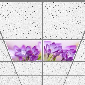 Resim Gök Panel 60X60 LED Panel Aydınlatma Armatür Avize Sıva Altı Desenli 1x2 Ikili Grup 46510889SA 