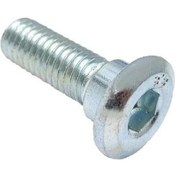 Resim Disk Vidası Düz M8 - Adet 