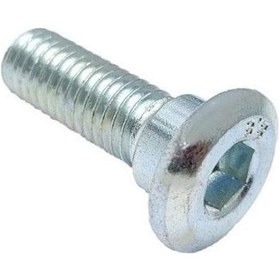 Resim Disk Vidası Düz M8 - Adet 