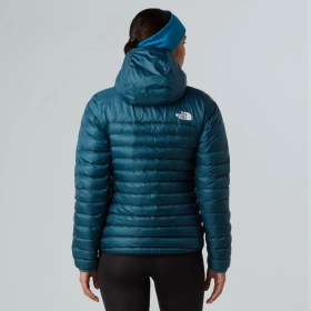 Resim The North Face W Terra Peak Hoodıe Kadın Ceket NF0A8DEDBQ51 