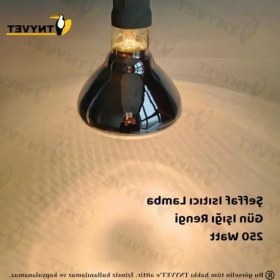 Resim Cekar Store Tnyvet Şeffaf Renk/ınfrared Civciv, Buzağı, Kuzu Isıtıcı Lamba - Ampul 250 Watt 