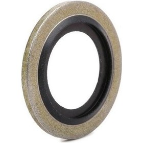 Resim Payen Karter Tapa Pulu 110265505r Clıo Kango Megan Logan Fluence 