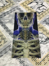 Resim Olympus plus İNSAN İSKELET KABURGA Tasarımlı Motorcu Buff Maske Outdoor Boyunluk Unisex Bandana 